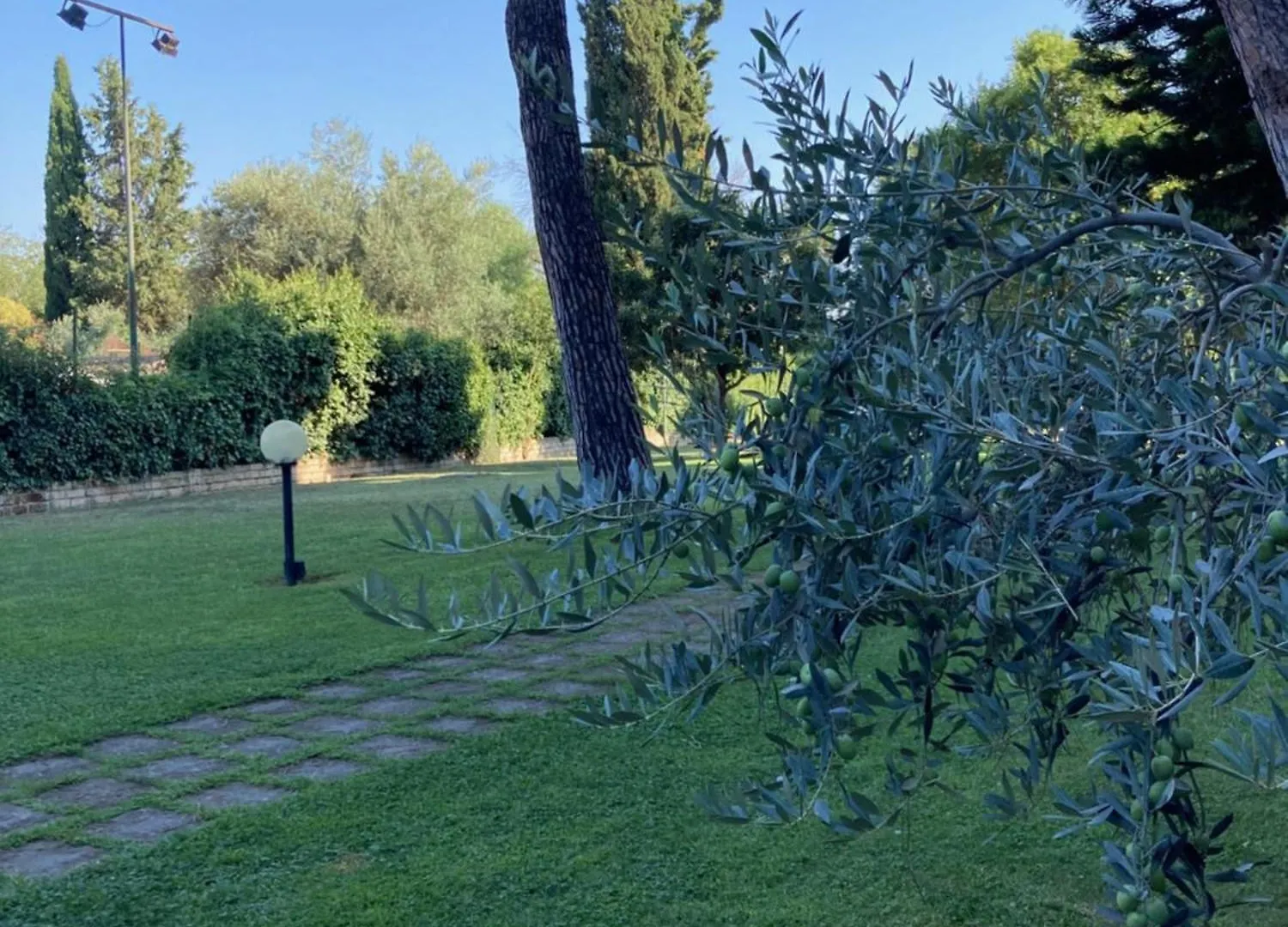 Appartamento Terrace! Roma